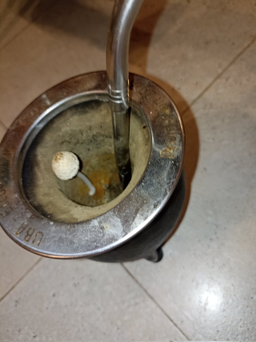curé tan mal el mate que le salió un champiñon loco estas cosas solo me pasan a mi