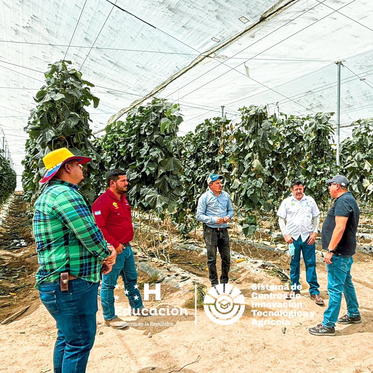 scitahonduras's tweet photo. ¡Construyendo el futuro agrícola! 🚜💡

Enriquecedora visita a Monty Farm para explorar nuevas tecnologías y fortalecer nuestra colaboración. 

Juntos avanzamos hacia una educación agrícola innovadora. 🌱👩‍🌾👨‍🌾

 #InnovaciónAgrícola #SCITA #MontyFarm https://t.co/Sl4duVIx3z