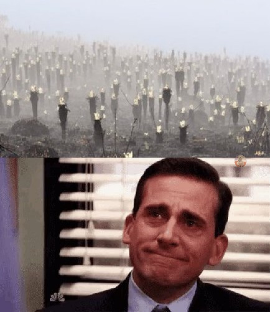 KatsCarey's tweet photo. Todos viendo el renacer de los frailejones del páramo de saturaban. 🥲 https://t.co/WSnUg8akwb