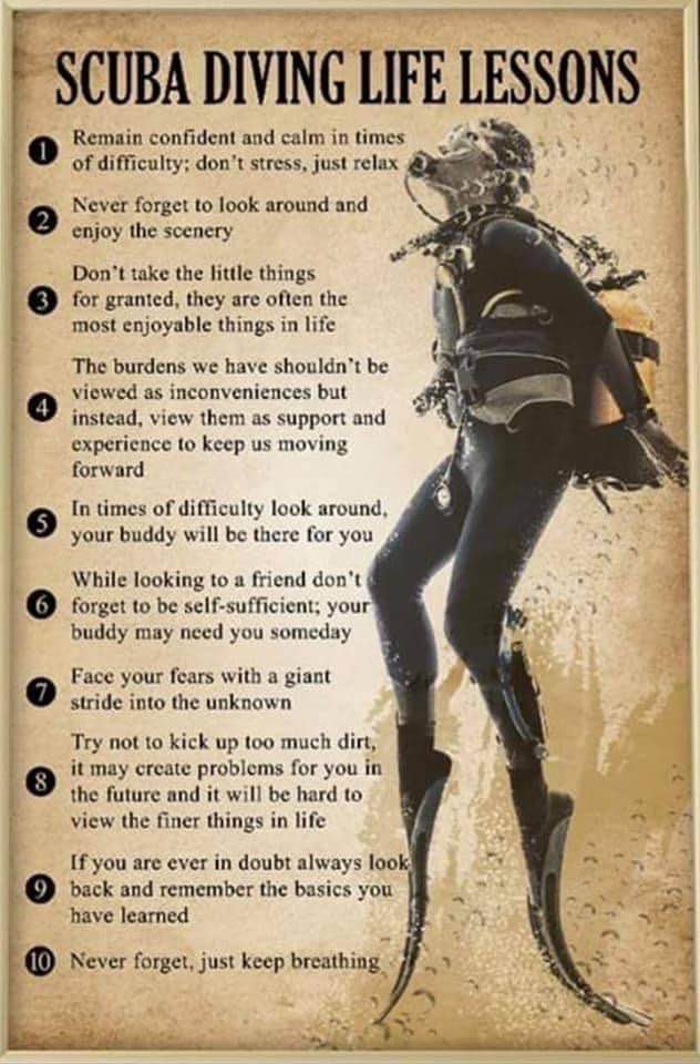 All the reasons I love diving: