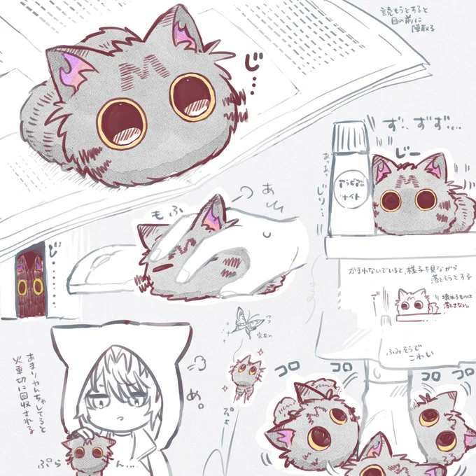 ねこのひ
だったので、ふわふわのたわむれ🐈‍⬛ 