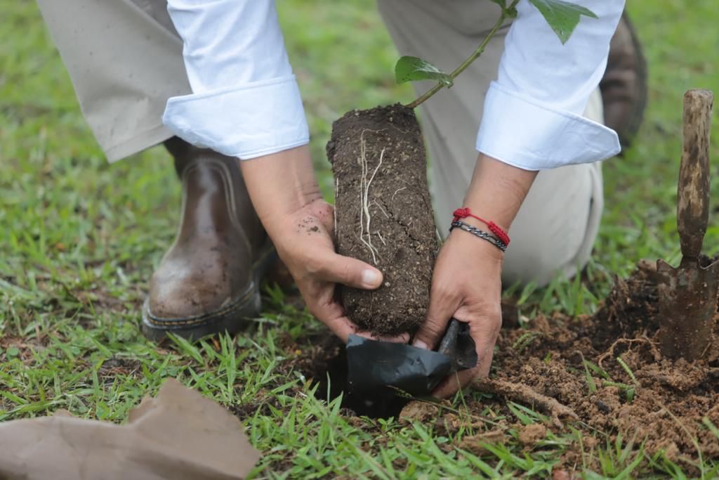Eric Cisneros Burgos tweet media