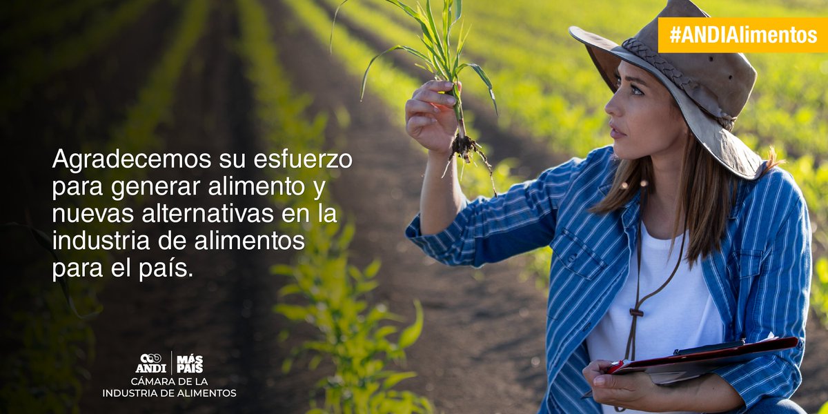 En el #DíaDelIngenieroAgrónomo, recordamos su papel crucial en a cadena de valor alimentaria. No solo cultivan la tierra, sino que también aplican tecnologías innovadoras para aumentar su productividad, mejorar la calidad de los alimentos y apoyar la seguridad alimentaria.