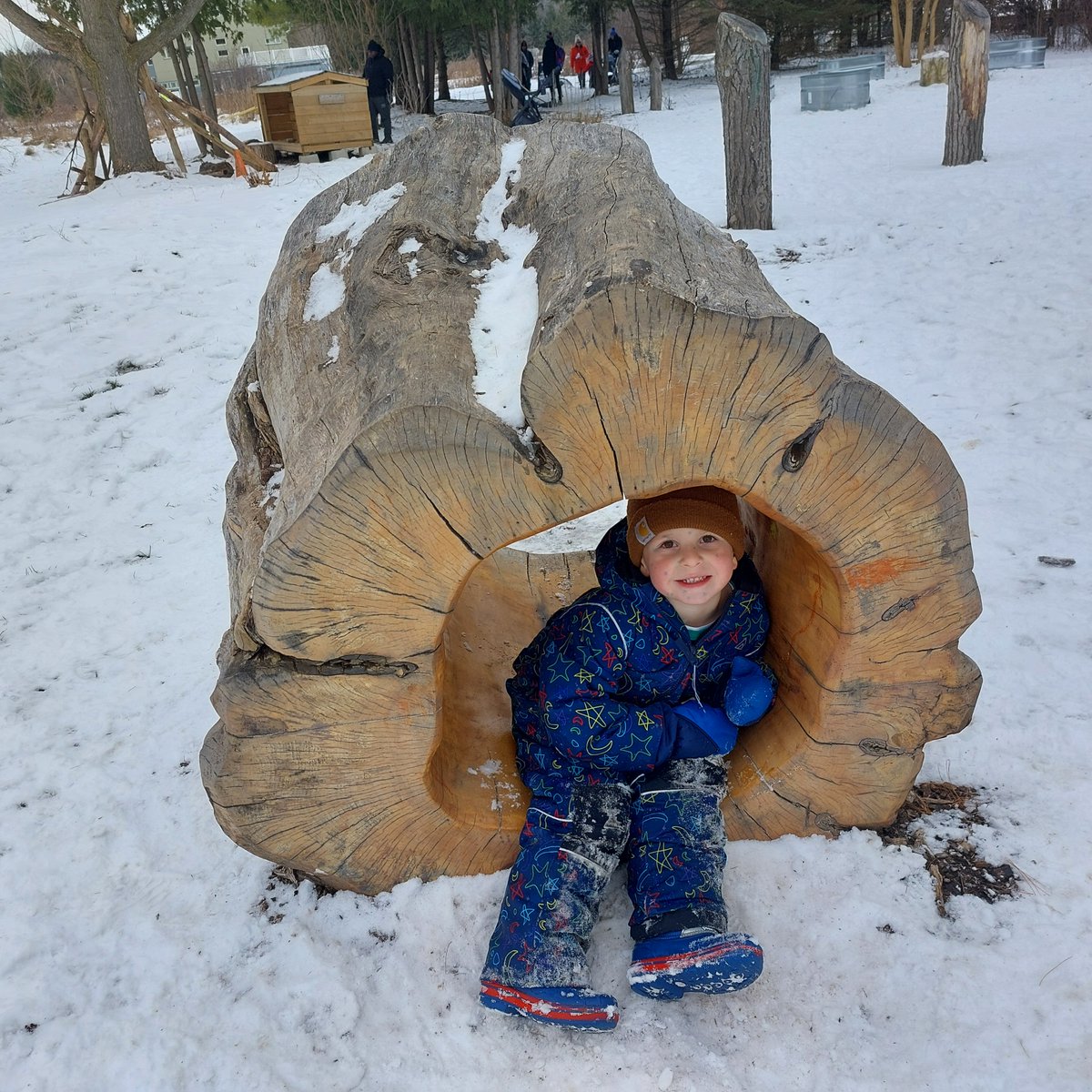 York Region Nature tweet media