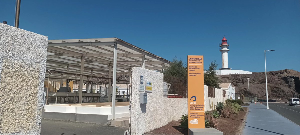 carafa_roberta's tweet photo. Today I was visiting the @BEA_ULPGC to pick up some algae for biofilm colonization at @IEOoceanografia 👩🏼‍🔬🔬🧬🧪☠️ #WATERSCAN project @AECOM, #JRC, @MSCActions @H2020_impact @FonsUECat @accio_cat https://t.co/LIb4468Ccd