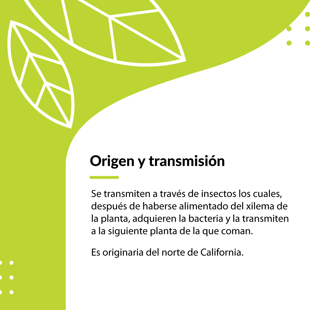 soloalmendro's tweet photo. https://t.co/x4LukmMLp5