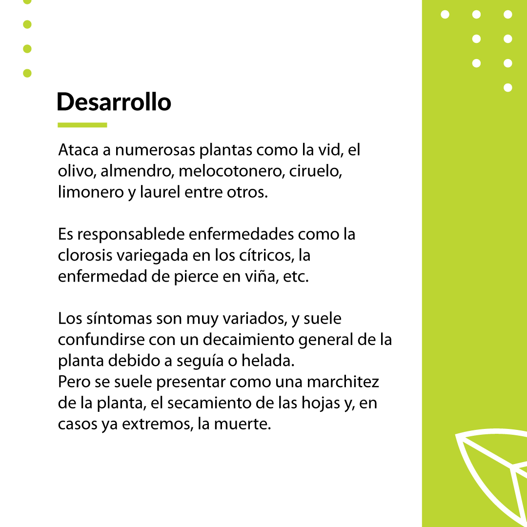 soloalmendro's tweet photo. https://t.co/hxrd77eD5b