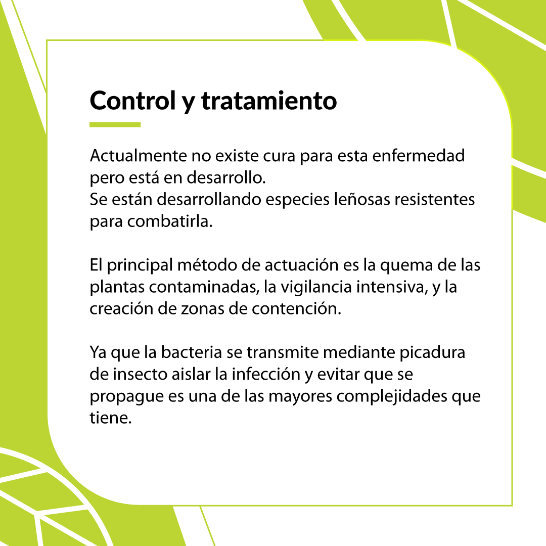soloalmendro's tweet photo. https://t.co/vjckYTVWYV