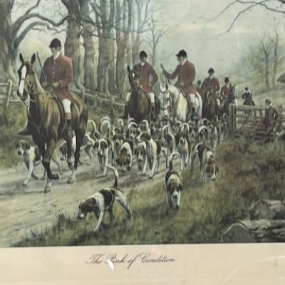 rdch16's tweet image. #NuevaFotoDePerfil