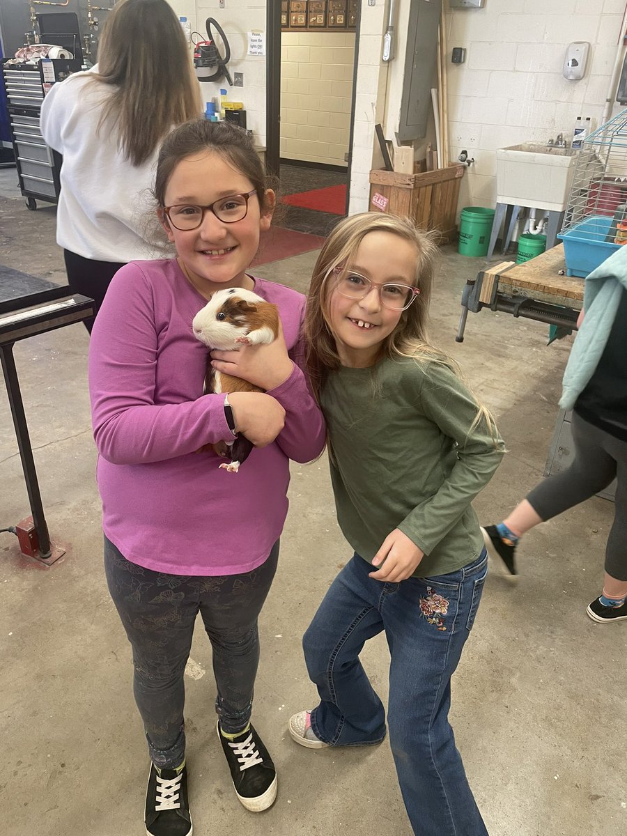 meadffa's tweet photo. Petting zoo for National FFA week! #nationalffaweek #ffaslay https://t.co/PVakSs8y2N