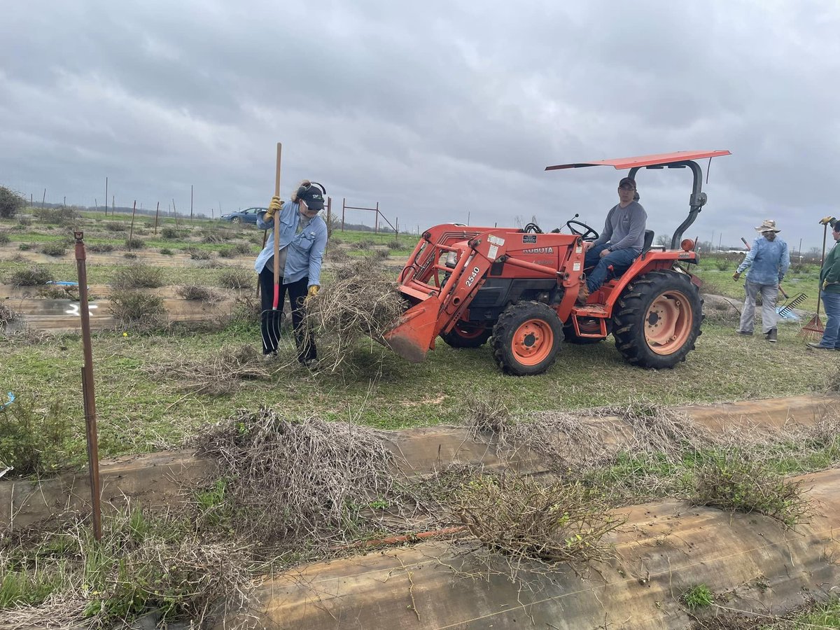 It’s pruning season! Over the last two weeks, we have been pruning our roses and getting ready to plant new ones. It’s a lot of hard work, so thank you to everyone who came out to help! 🌹