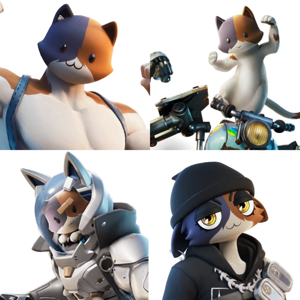 Now that we have Meowscles, Kit, and Katt, the ABOMINATION that is