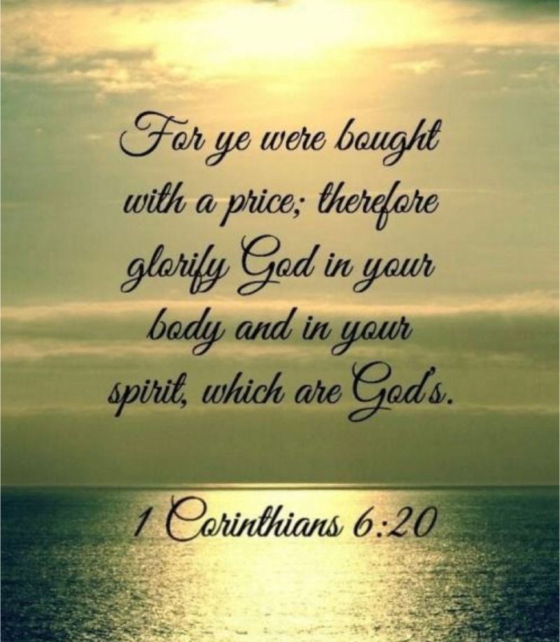 GoGreenLED_Int's tweet image. 