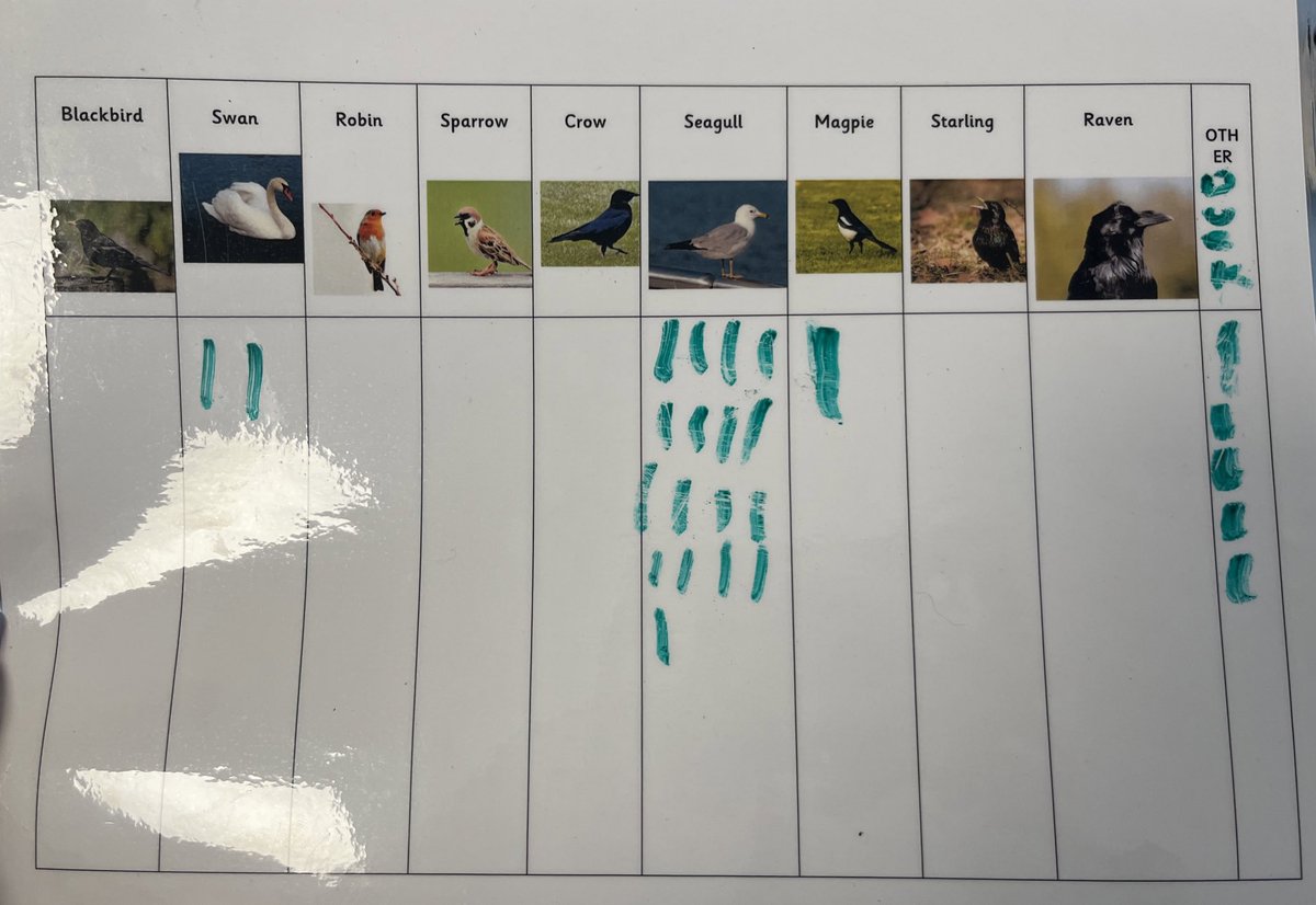 At nursery recently the children have shown an interest in birds as we have been taking part in the RSPB big birdwatch. Today some of the children took a walk into our local community using our checklist to see what birds we could spot 🦢🐦‍⬛ #outdoorlearning <a href="/RSPBScotland/">RSPB Scotland</a>