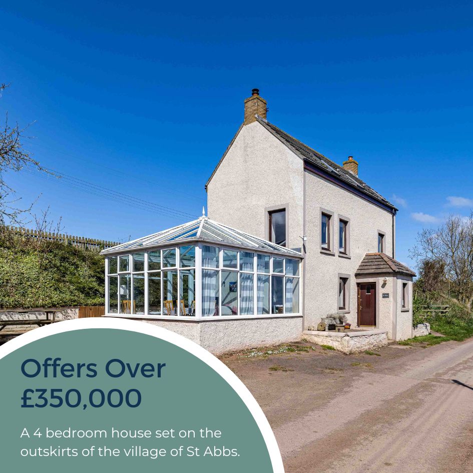 FBR Seed tweet media