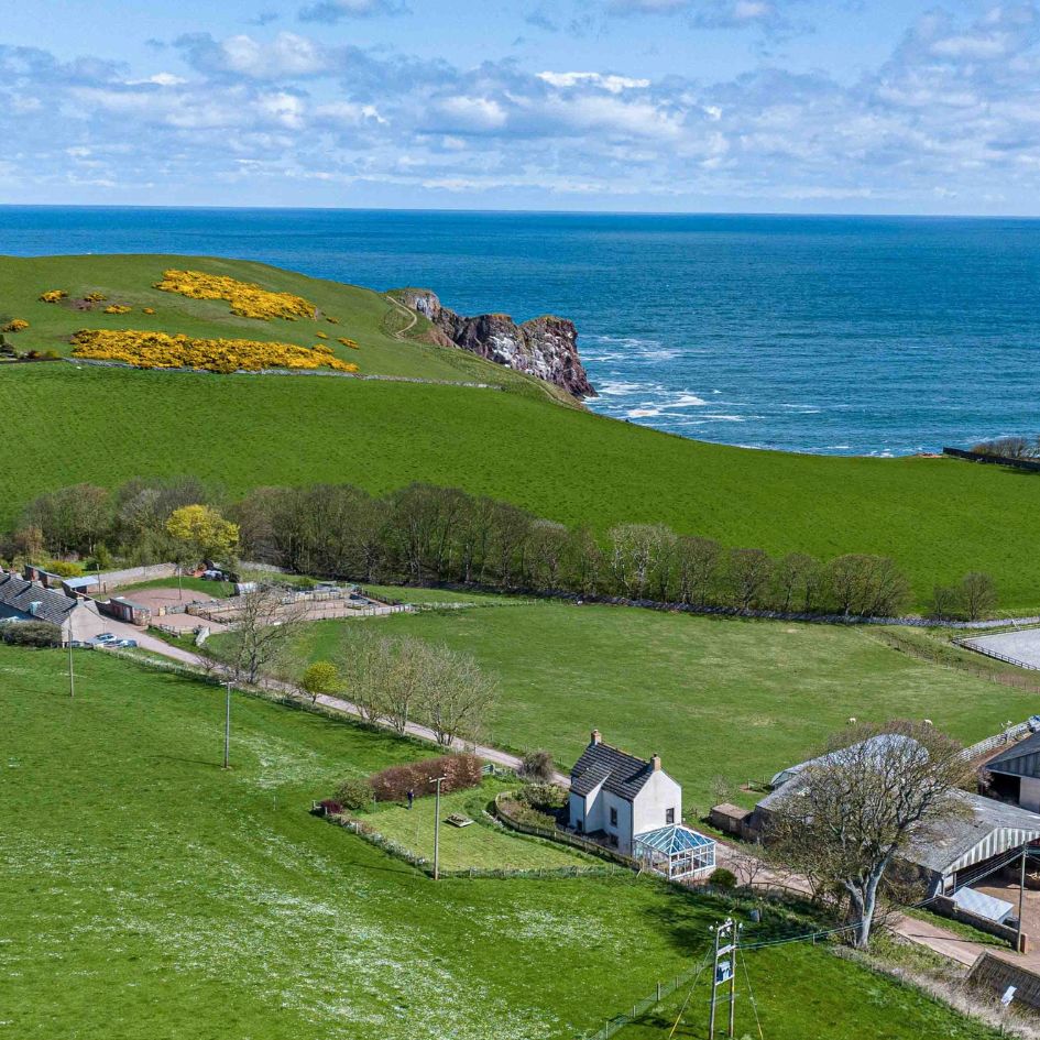 FBR Seed tweet media