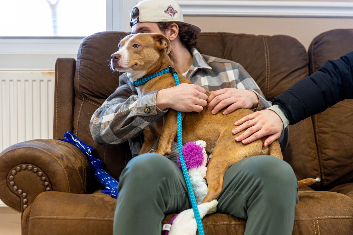 You ready to see the cutest thing ever? 🐶

When <a href="/mikevukojevic/">Michael</a> Met Linus at Anita's Stevens Swan Humane Society

(scroll through the whole thread, it’s worth it)