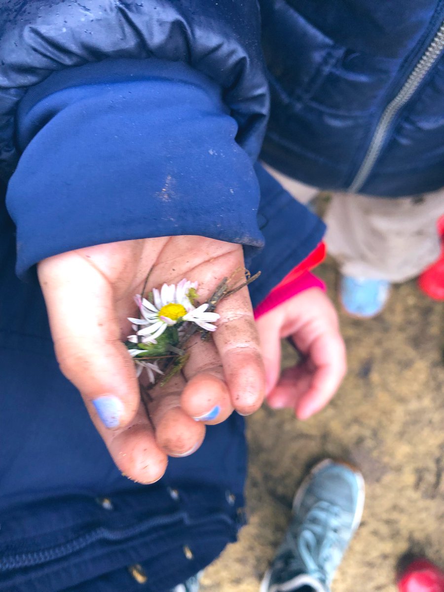 BSB_EarlyYears tweet media