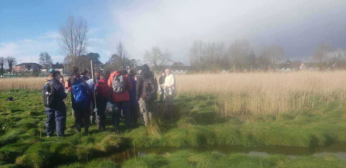 Stephen Hutton tweet media