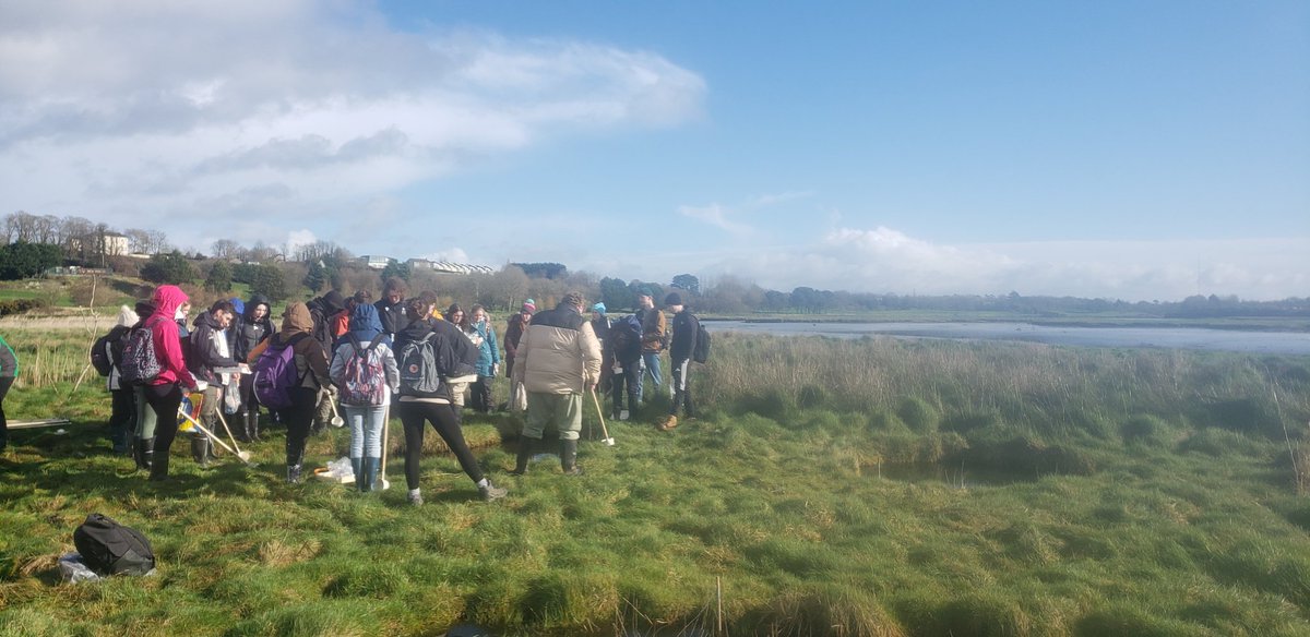 Stephen Hutton tweet media