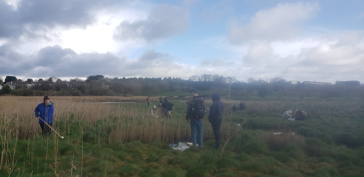 Stephen Hutton tweet media