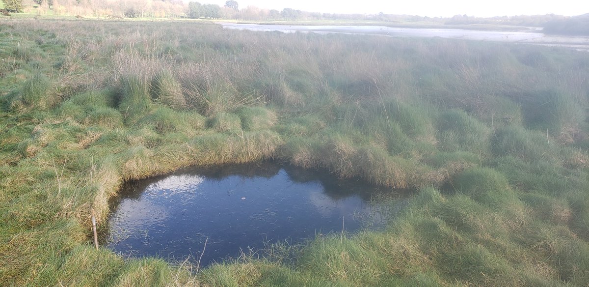 Stephen Hutton tweet media