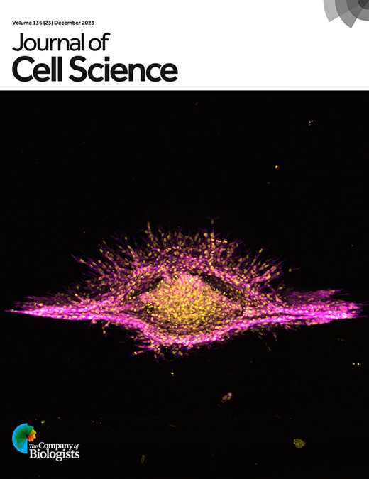 Exciting news! Our paper, in collaboration with Katarina Wolf &amp; Peter Friedl's group at Nijmegen University, delves into cell jamming in a collagen-based interface. Thrilled to be featured on the cover of this volume! 🎉 #CellJamming Read more: bit.ly/49owbke