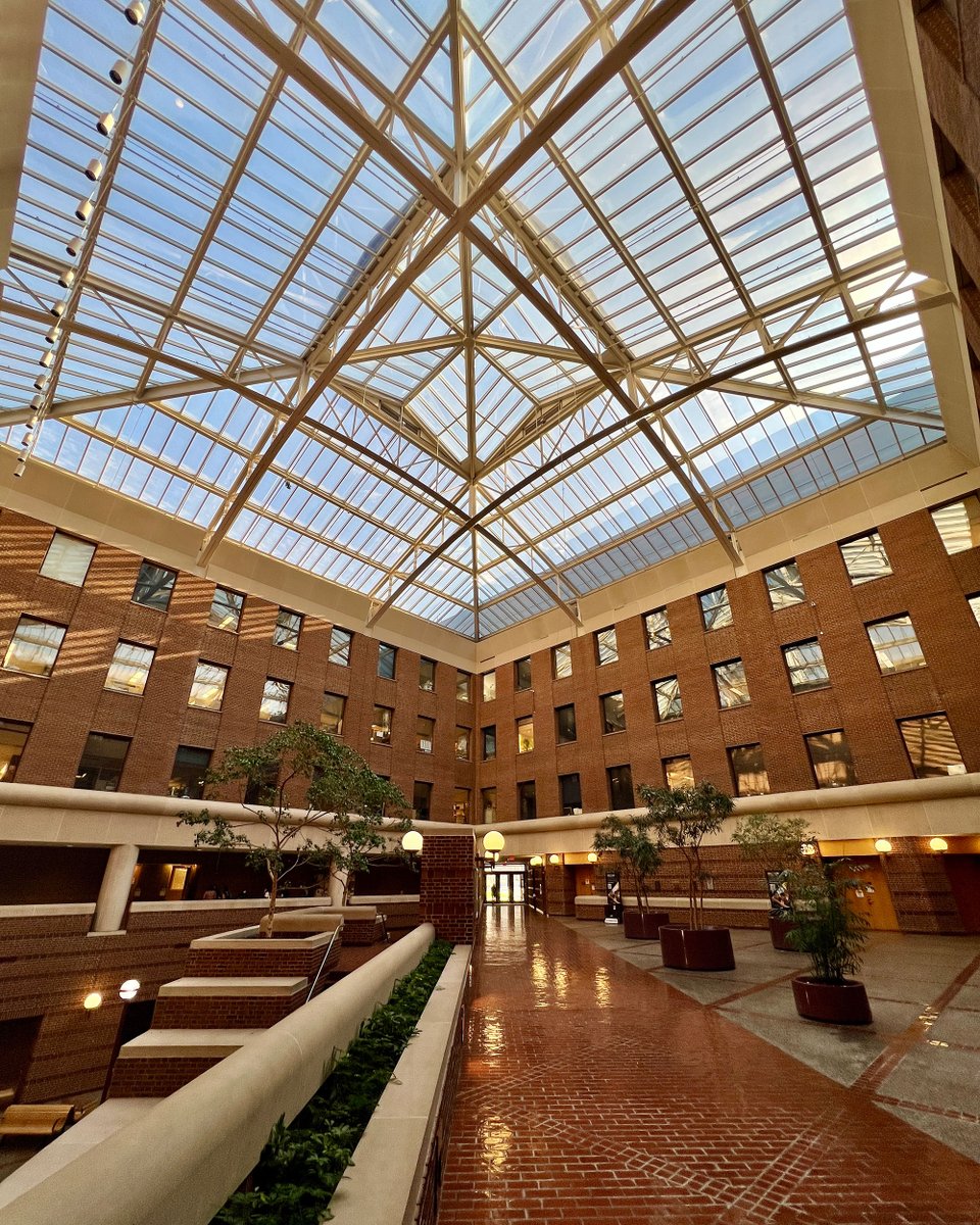 Alumni Association of the University of Michigan tweet media