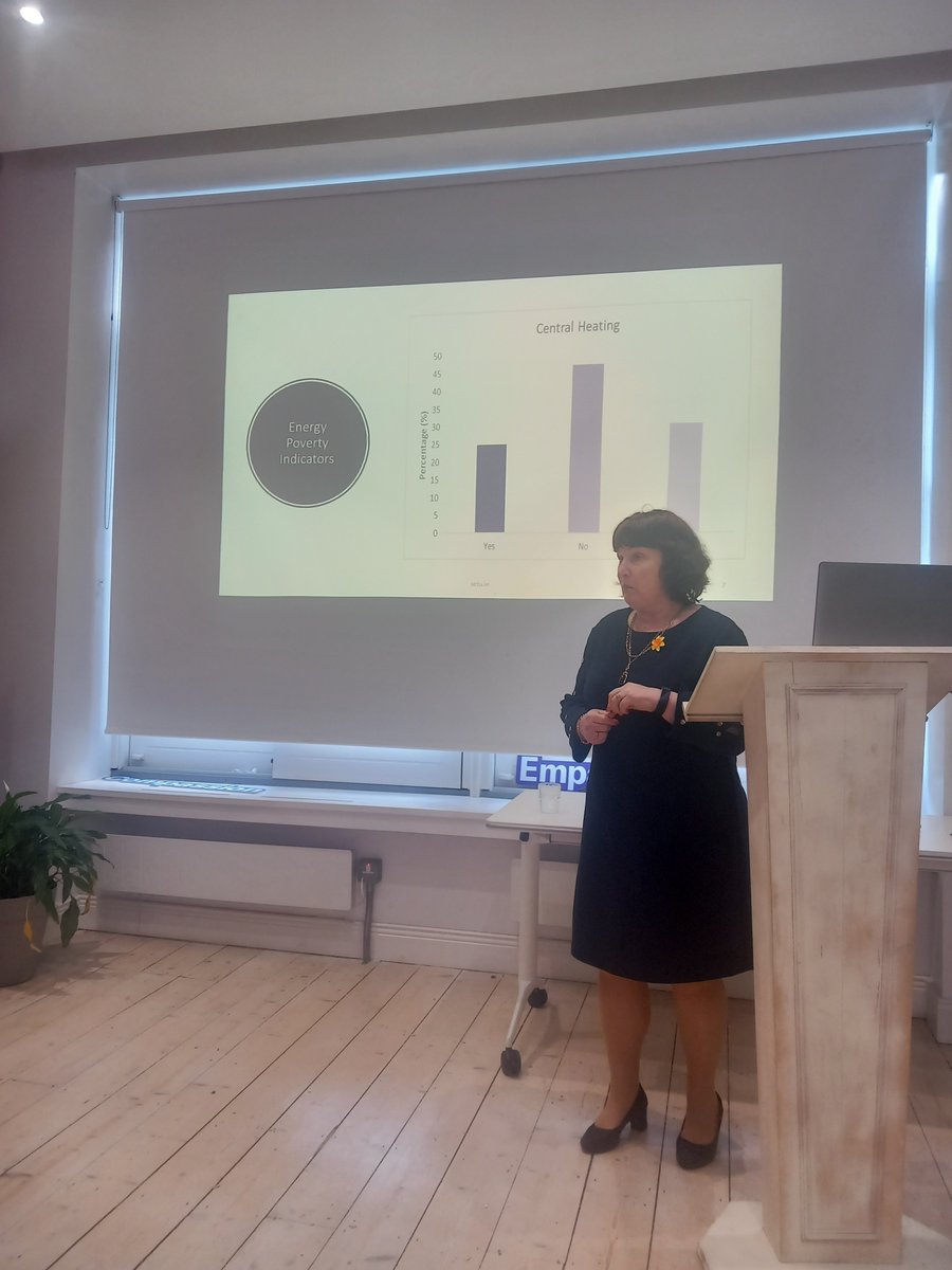EHPCHproject's tweet photo. @DenieffeSuzanne sharing the findings of @EHPCHproject @narrative4 in Limerick city today @MilfordLmkCC @AIIHPC @IrishCancerSoc https://t.co/jSw4h5uy88