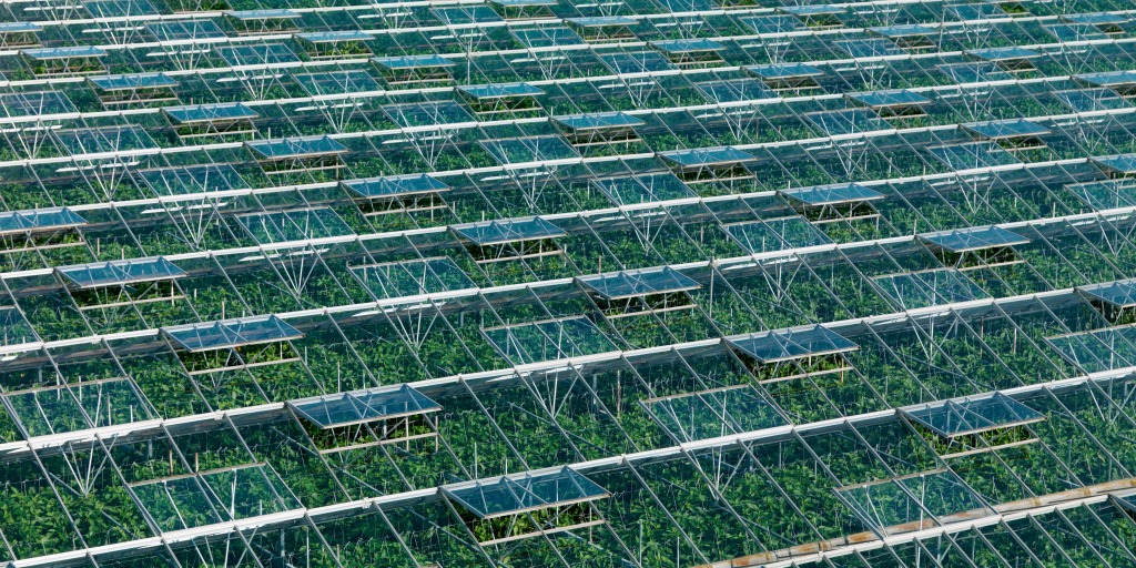 Voor ondernemers in de glastuinbouw: sluit de luchtramen en verklein de kans op stormschade. Meer tips lees je hier ➡️ bit.ly/31QYplN #codeoranje