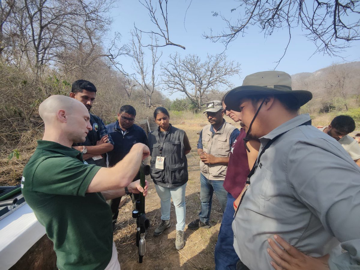 Wildlife Institute of India tweet media