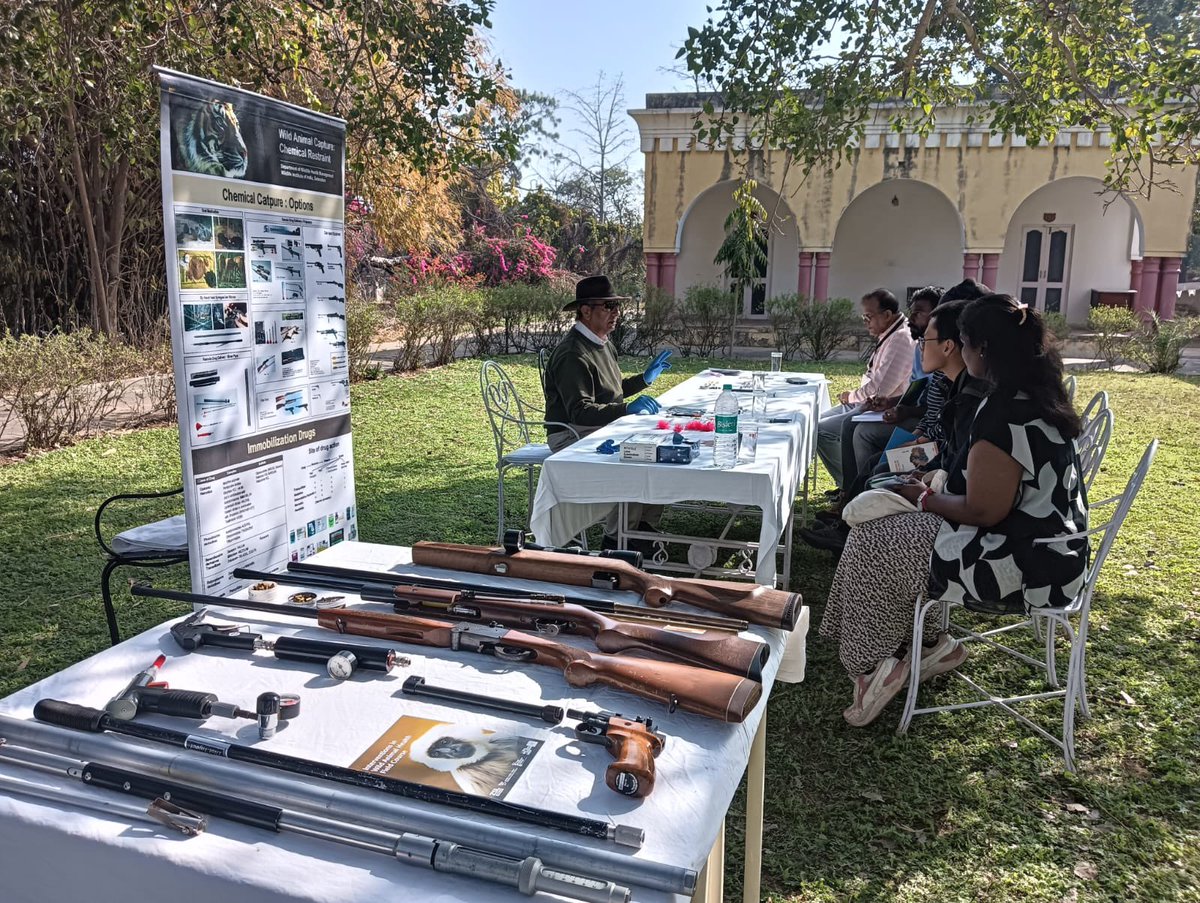 Wildlife Institute of India tweet media