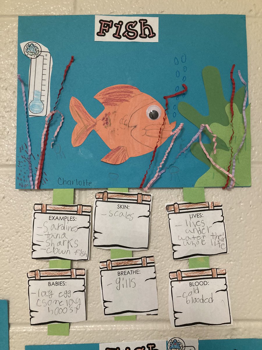 milesnawmiles's tweet image. Integration of science &amp;amp; ELA is at work in @JulieVmillion #ElemScience class @northside_jcs Ss learning how to classify animals and describe life cycles.
