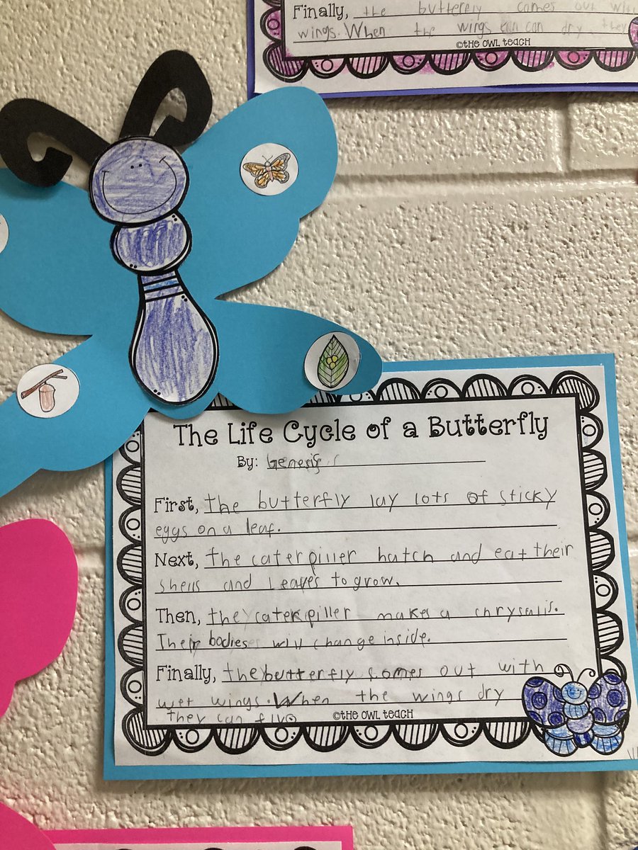 milesnawmiles's tweet image. Integration of science &amp;amp; ELA is at work in @JulieVmillion #ElemScience class @northside_jcs Ss learning how to classify animals and describe life cycles.