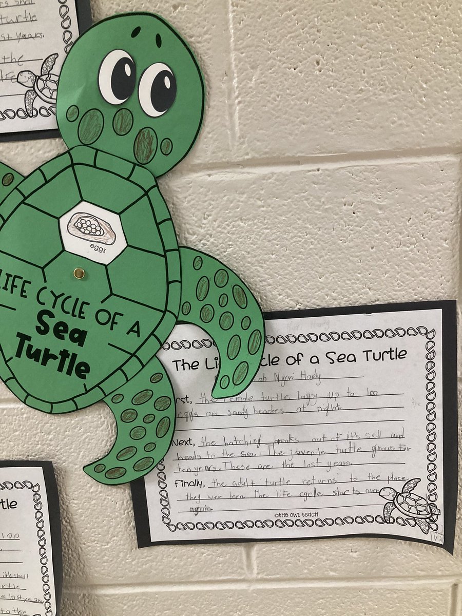milesnawmiles's tweet image. Integration of science &amp;amp; ELA is at work in @JulieVmillion #ElemScience class @northside_jcs Ss learning how to classify animals and describe life cycles.