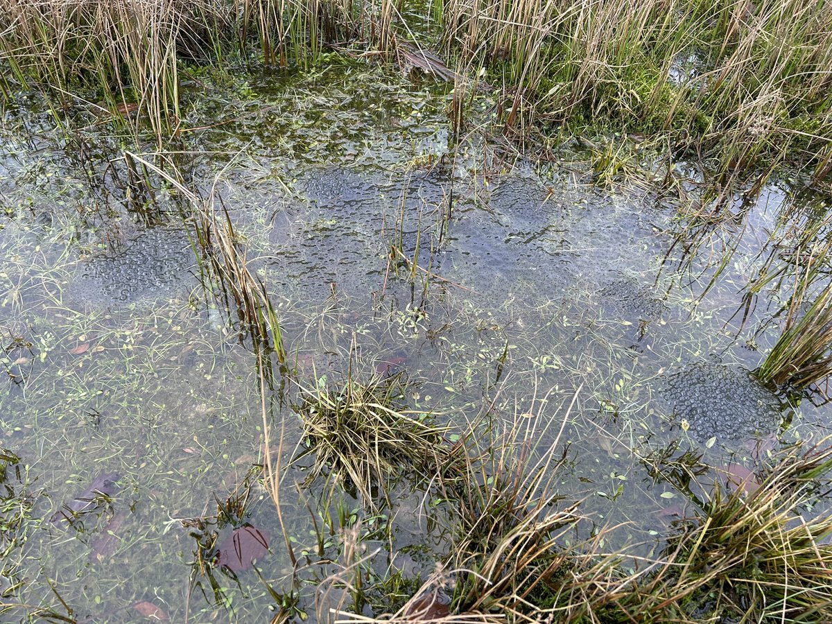 James Rebanks tweet media