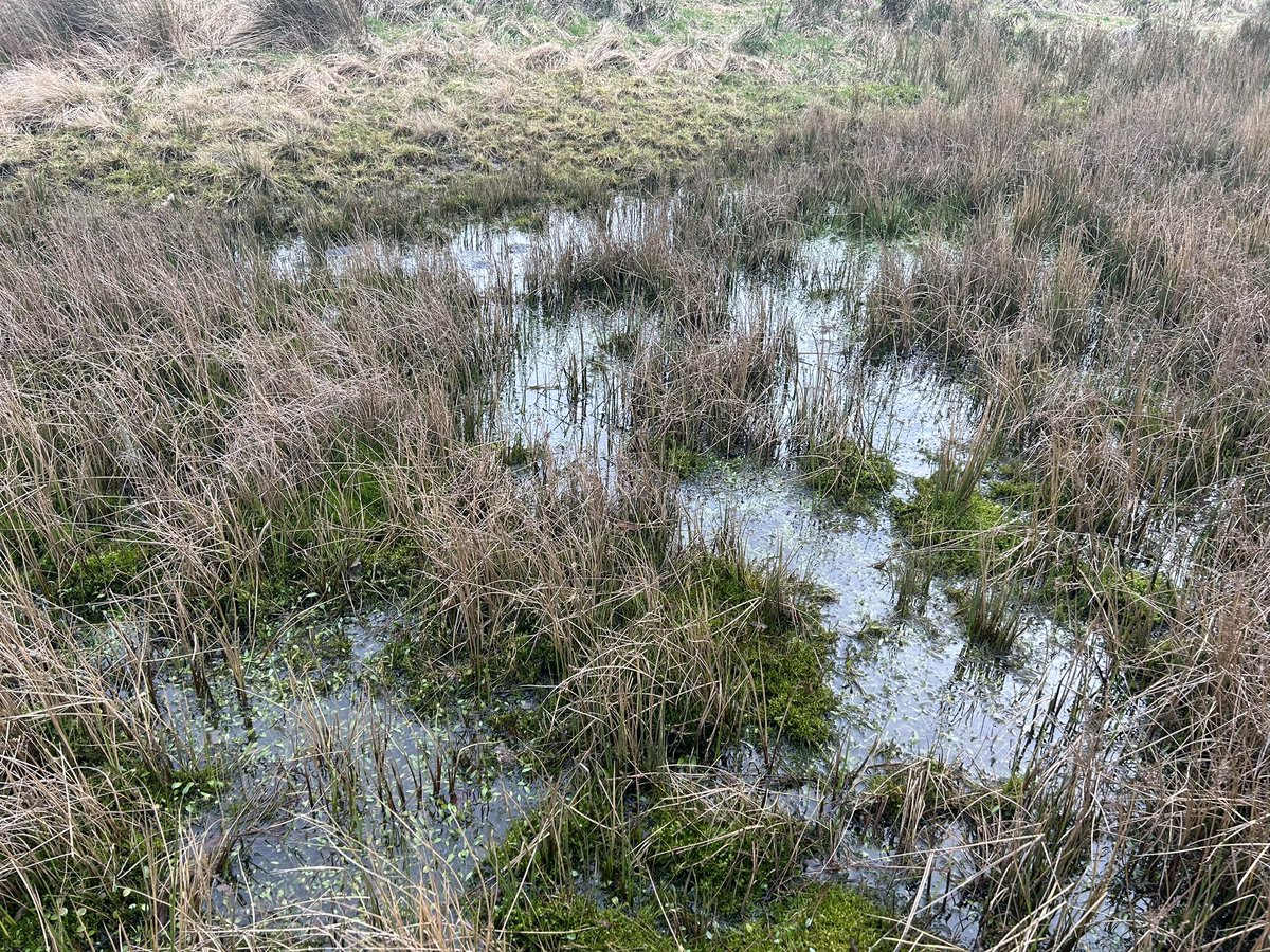 James Rebanks tweet media