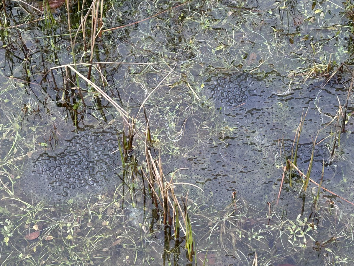 James Rebanks tweet media