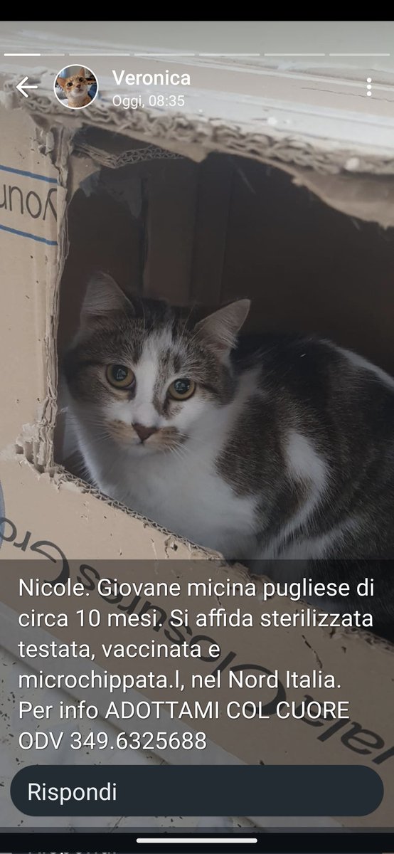 RT RT RT RT RT RT RT RT ♥️♥️♥️♥️♥️♥️♥️🙏♥️🙏♥️🙏♥️🙏♥️🙏♥️🙏♥️