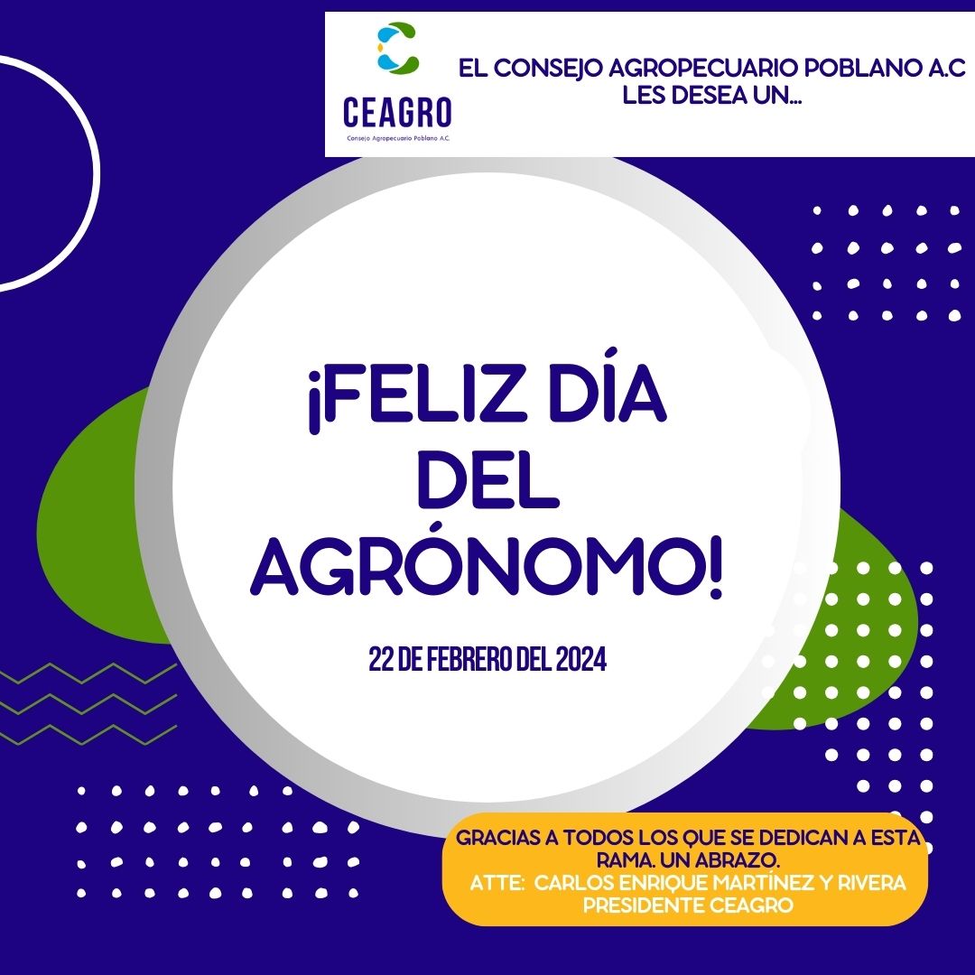 ¡Felicidades!