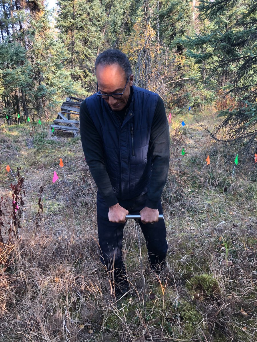 We all LOVE making active layer measurements (even Lester Holt) but is there a way project them over broader areas? Like have machine learning help you? In his first lead author peer reviewed paper David Brodylo shows us how! #permafrost #cryosphere iopscience.iop.org/article/10.108…