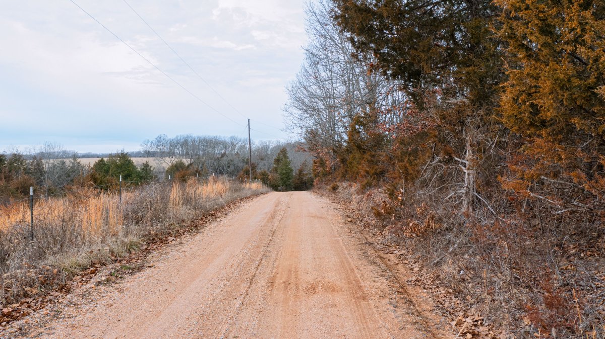 classicland's tweet photo. Missouri Land For Sale
Forest Hill has 13 lots of approx  5-8 acres available starting at $42,670. 
-Electricity and county road access are available. 
Located 10 miles from Houston Missouri
Learn more: https://t.co/cp4FpsBhTG
#Missouri #Missouriland #landforsale #land https://t.co/ydRmB2TrbU