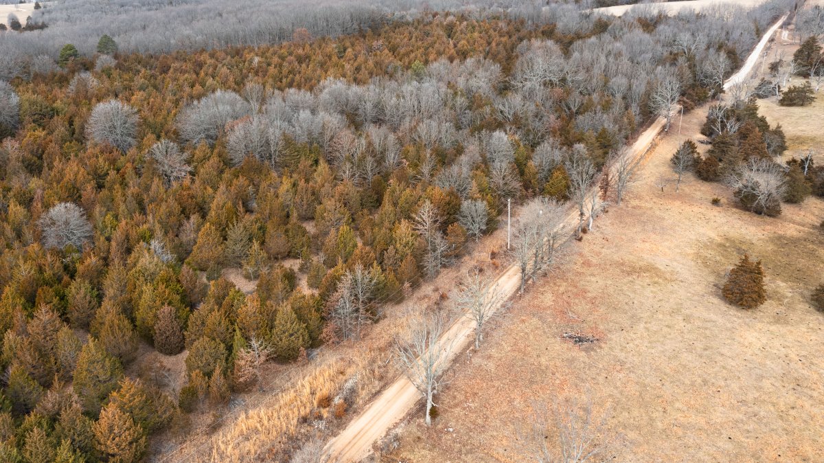 classicland's tweet photo. Missouri Land For Sale
Forest Hill has 13 lots of approx  5-8 acres available starting at $42,670. 
-Electricity and county road access are available. 
Located 10 miles from Houston Missouri
Learn more: https://t.co/cp4FpsBhTG
#Missouri #Missouriland #landforsale #land https://t.co/ydRmB2TrbU