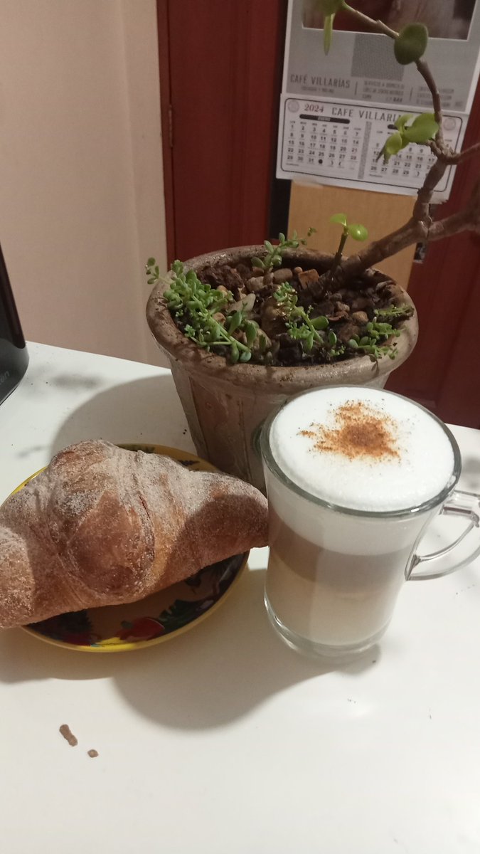 Rodi70825595's tweet photo. Empezamos el día con un rico capuccino con mucha espuma y un delicioso cuernito con mucha azúcar y empecemos el día #cafe #capuccino #cuernito https://t.co/Sbnd4rBM3J