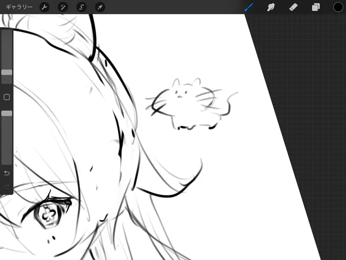 ネコ 