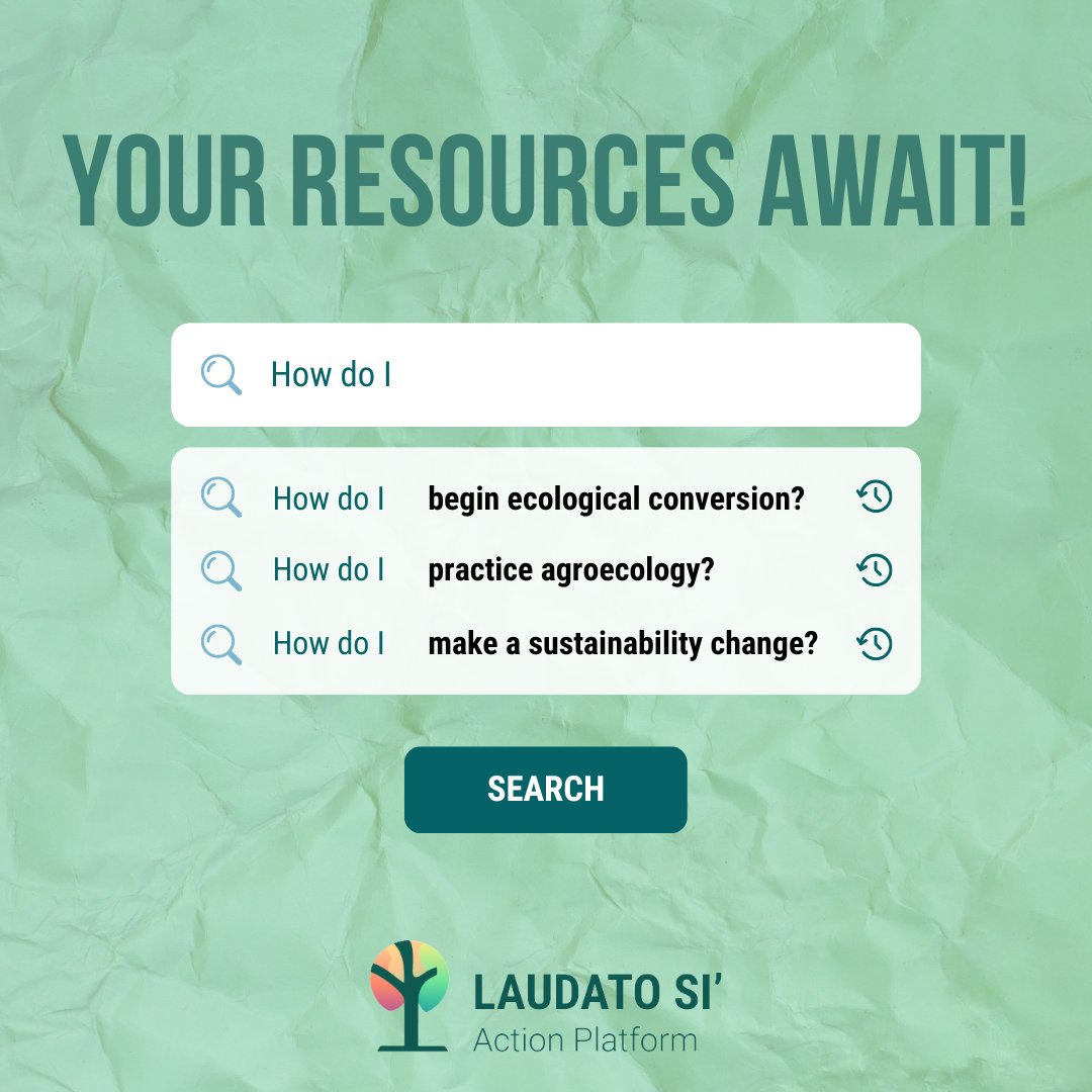 Explore ecological stewardship in our new blog post!🌍 Dive into Laudato Si' Action Platform's resources. Read more: tinyurl.com/5n8bjtfp #LaudatoSi