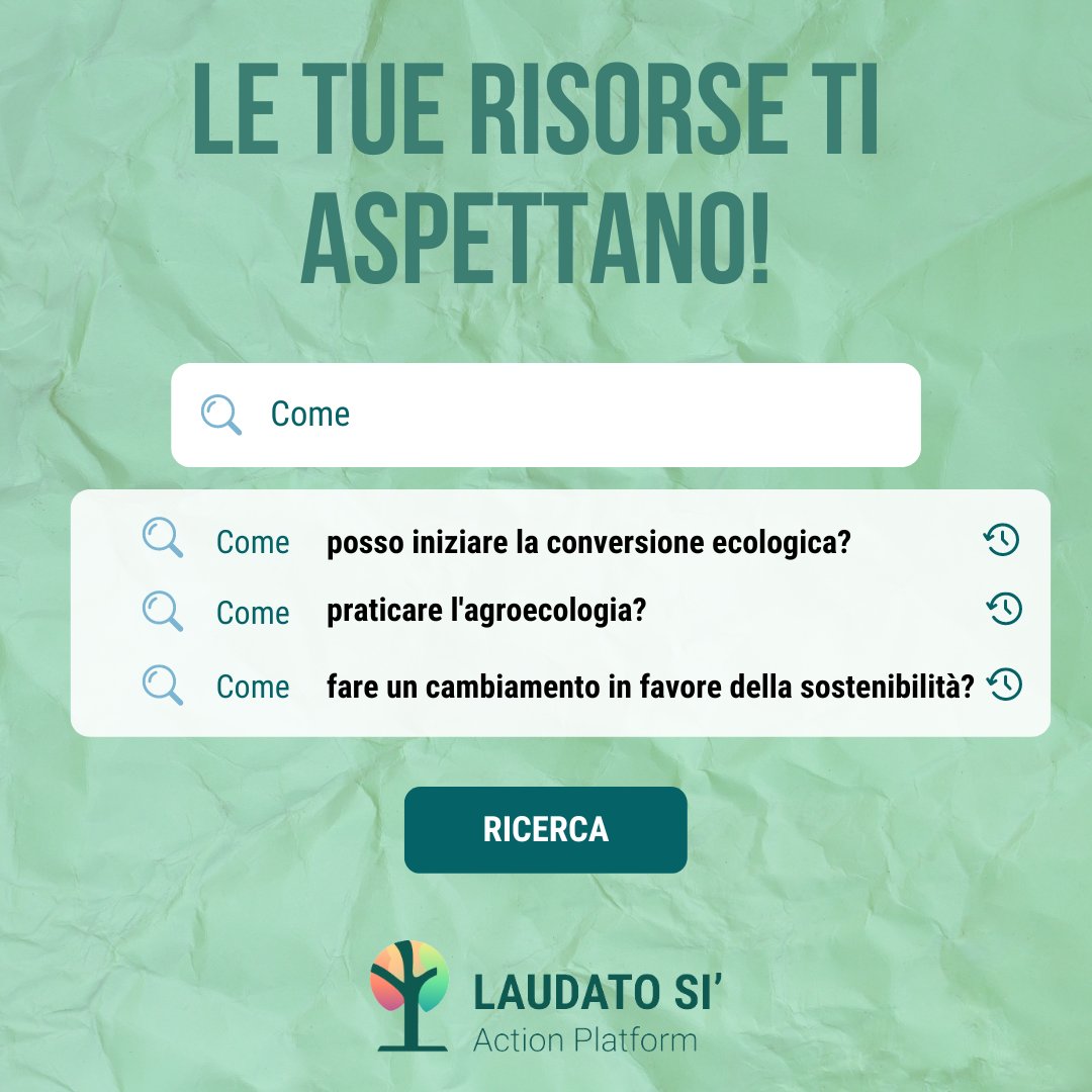 Piattaforma di Iniziative Laudato Si' tweet media
