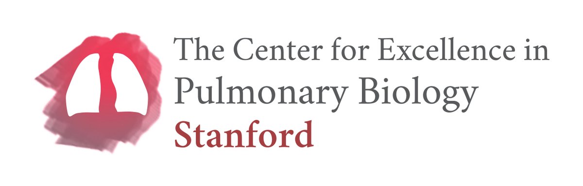 We're currently hiring for a Pediatric Clinical Pulmonologist to join our team in the Clinician-Educator line. Apply today!🎄 

#Pediatrics #Hiring #JobAlert #StanfordMedicine

med.stanford.edu/pedpulmonary/O…