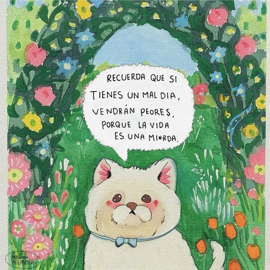 catxth's tweet photo. https://t.co/pYSPkwOJ3d