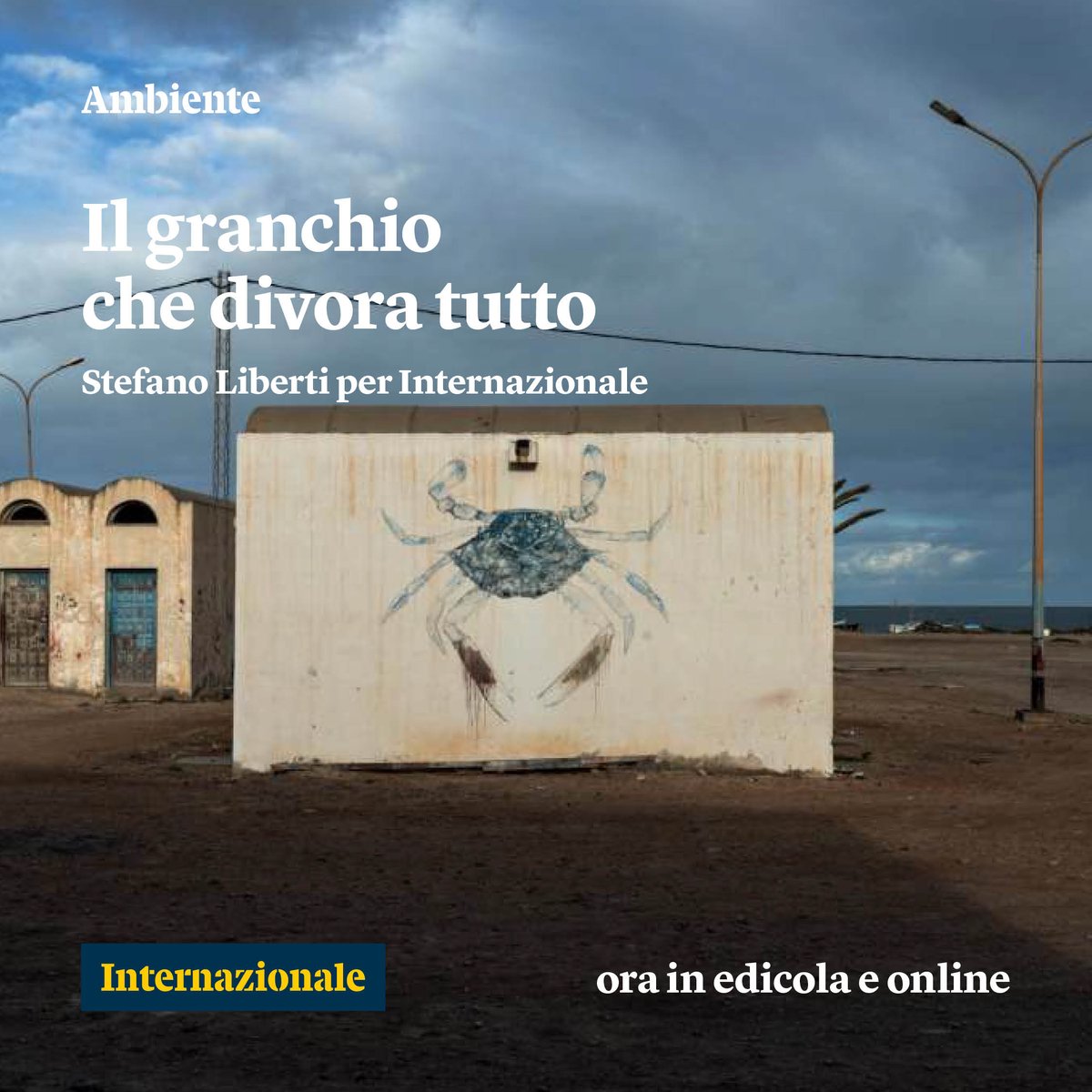 Il granchio blu sta mettendo a rischio la biodiversità del Mediterraneo. La Tunisia ha trovato una soluzione, ma i pescatori italiani sono scettici. L'articolo di Stefano Liberti: intern.az/1J5j